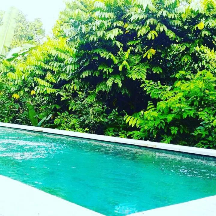 Bismajaya Bungalow Убуд Экстерьер фото