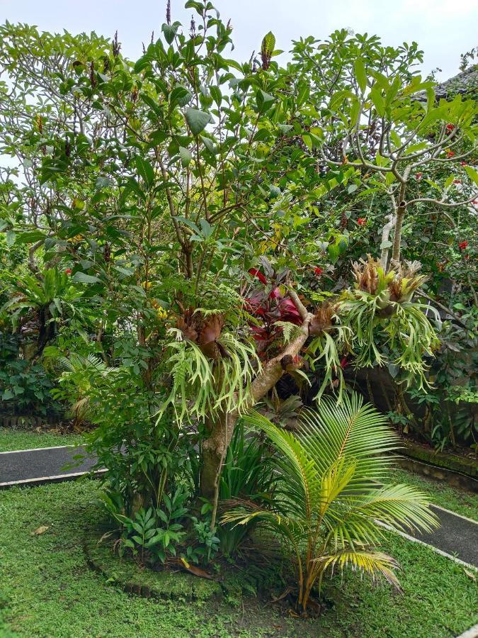 Bismajaya Bungalow Убуд Экстерьер фото