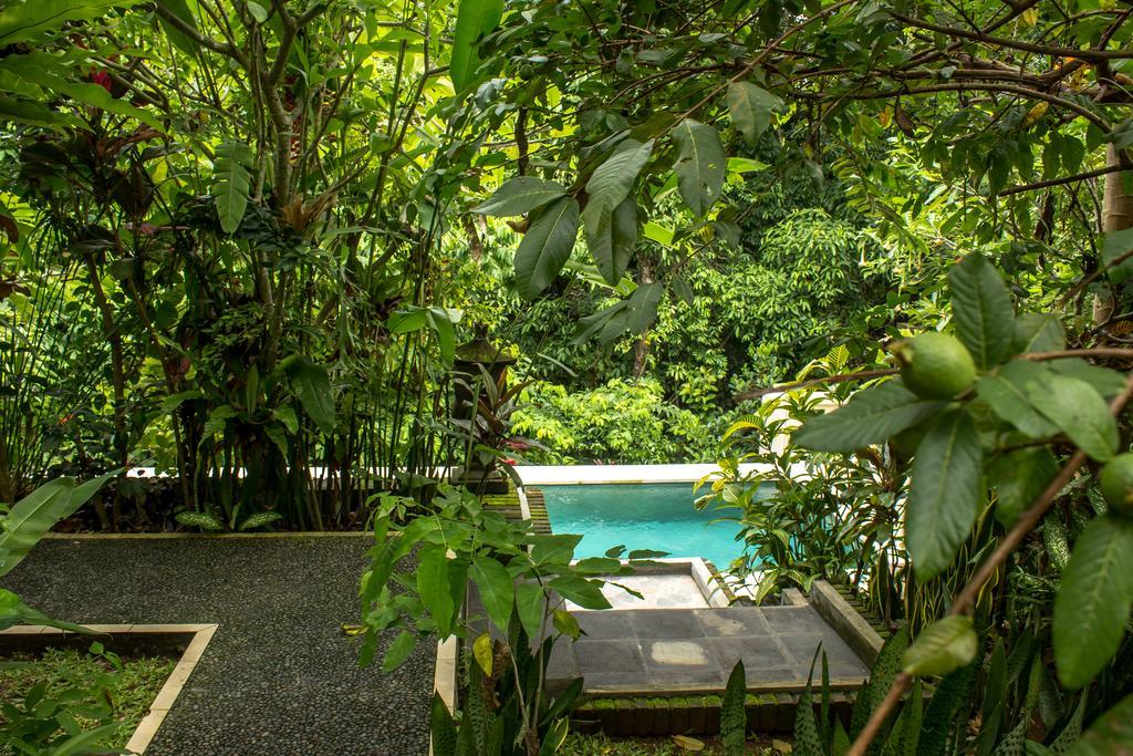 Bismajaya Bungalow Убуд Экстерьер фото